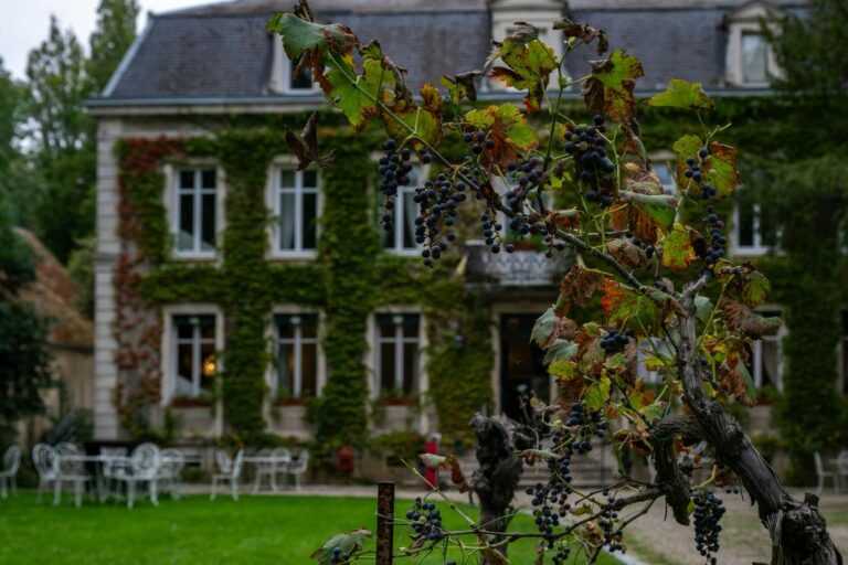 Culinary Reinventions