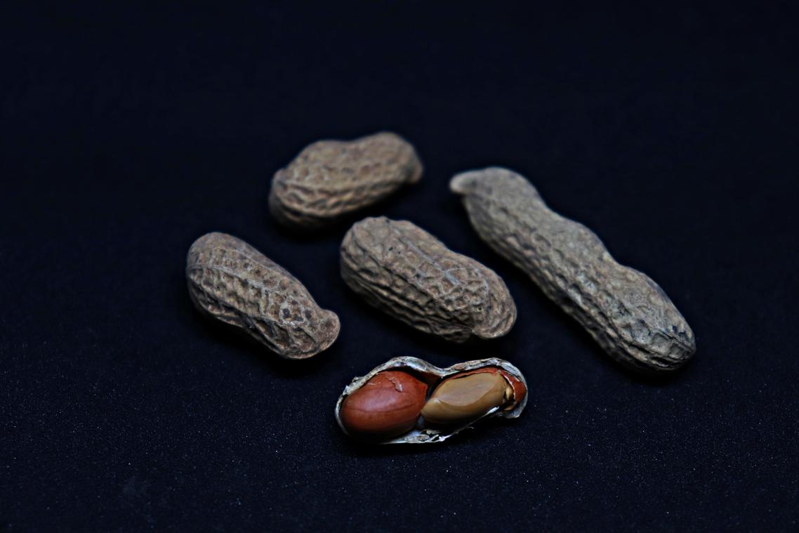 heritage grains