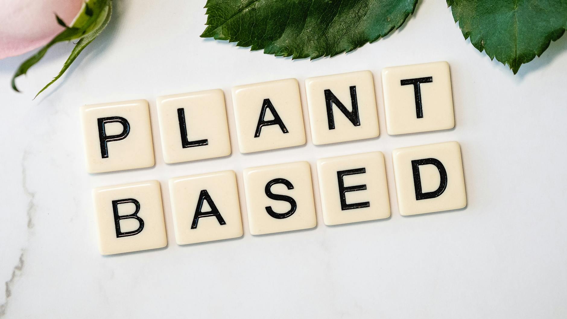 Plant-Based Innovation: What’s Driving Today’s Menu Evolution