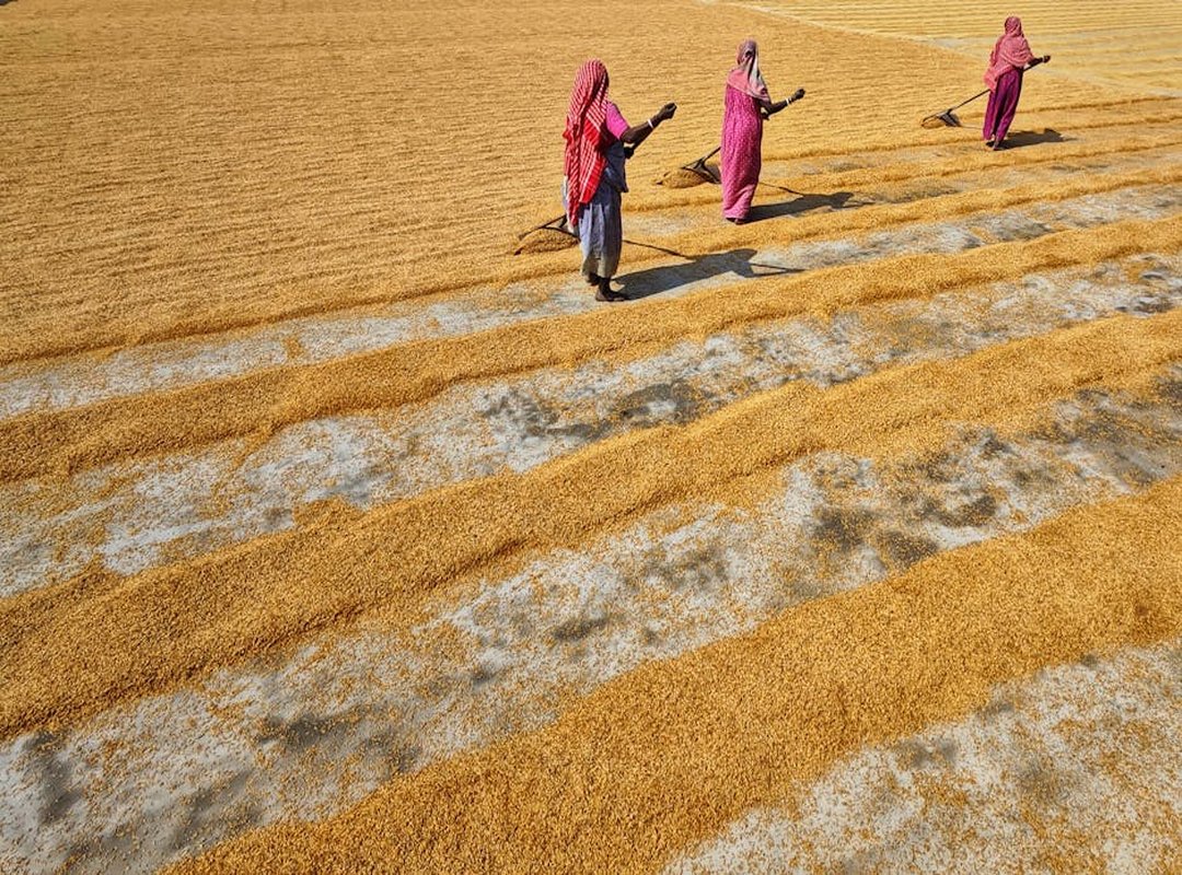 Indian dishes regional differences