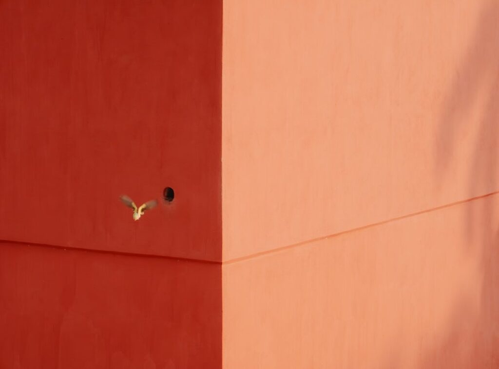 Indian dishes regional differences