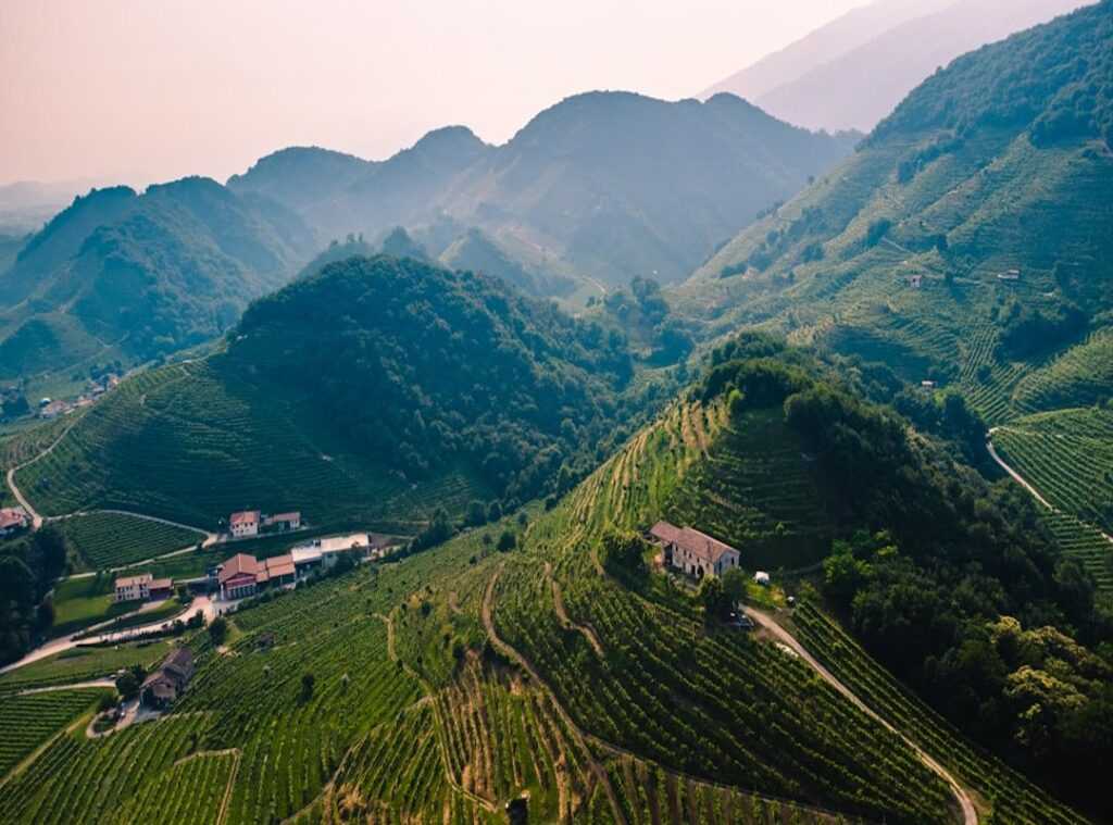 Italian wine regions