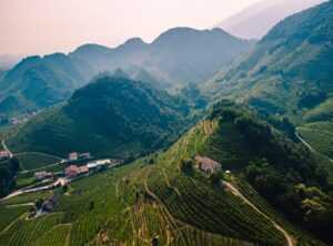 Italian wine regions