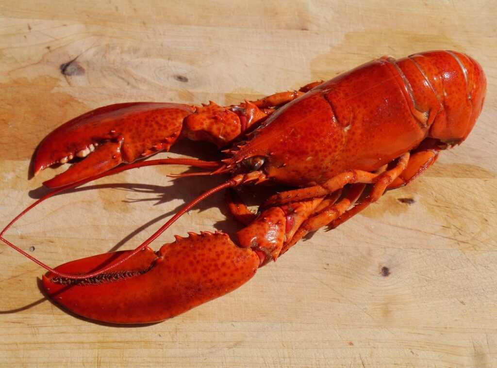sustainable seafood practices