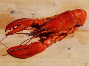 sustainable seafood practices