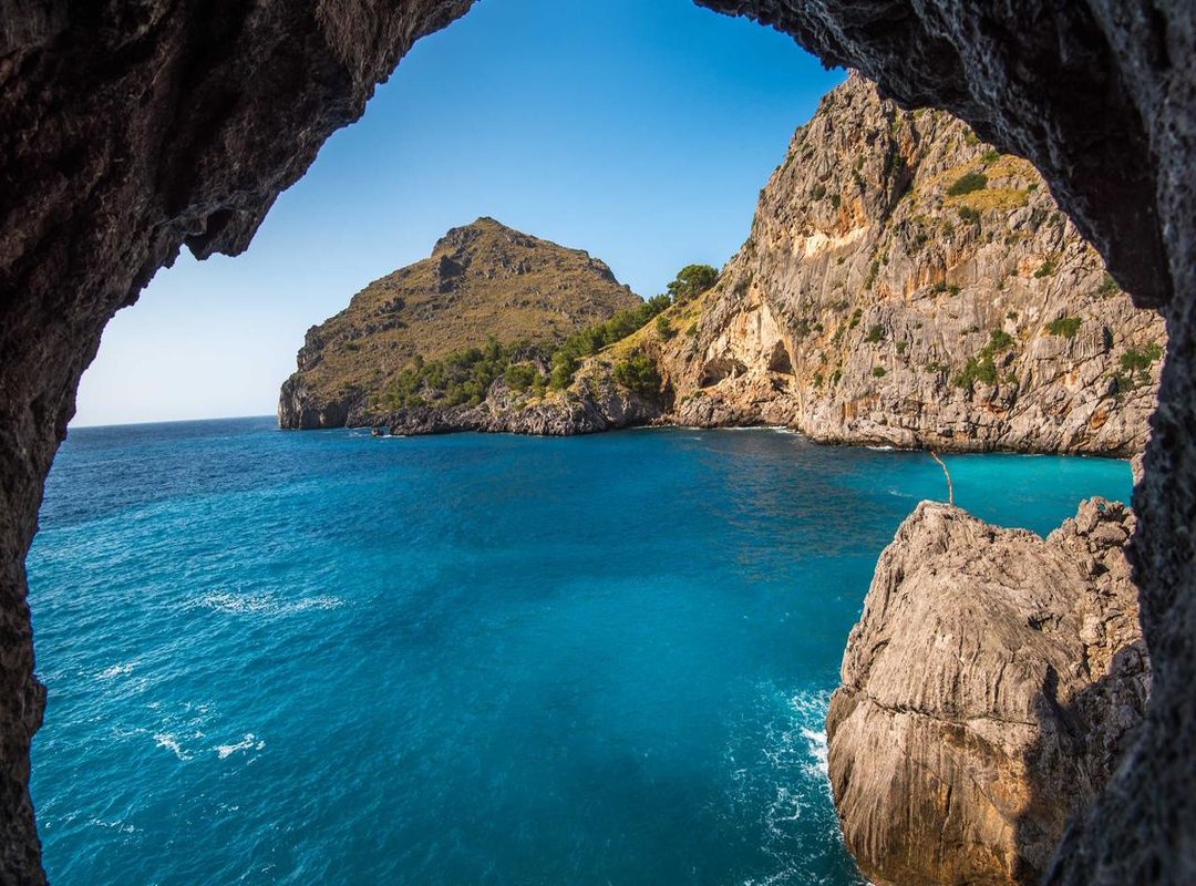 Comparing Your Options: Banks vs. Specialist Money Transfer Services