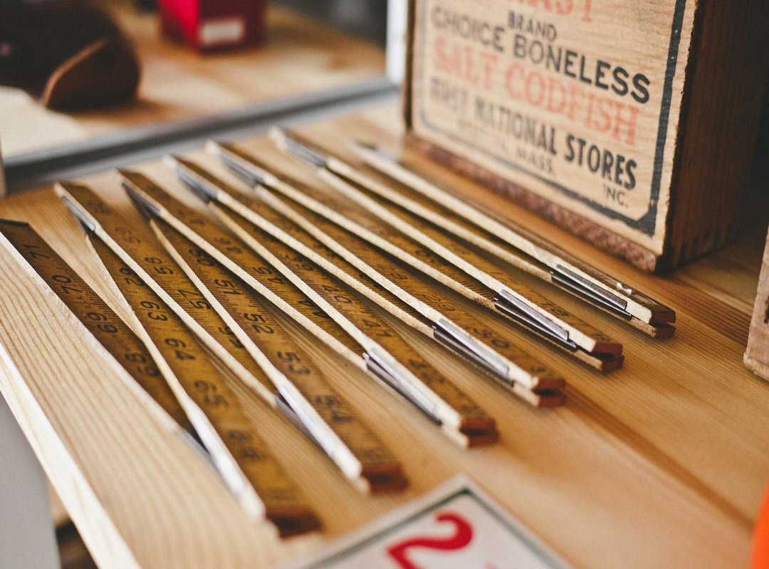 Keeping Your Alien Jade Happy: Temperature, Humidity, and Feeding