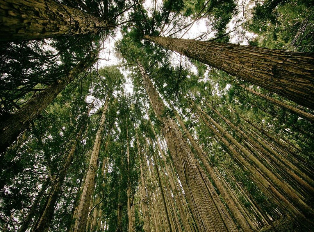 Visual Inspiration: Finding and Creating Your Own Vintage Images