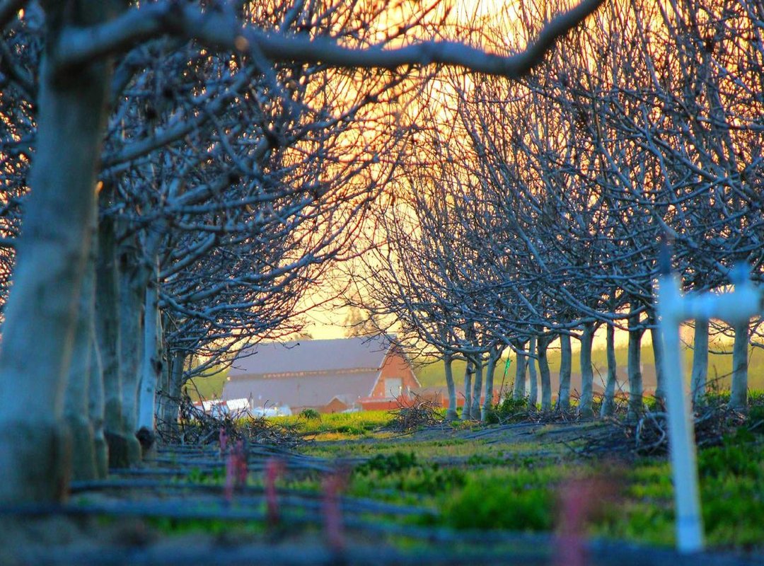 Beyond the Numbers: What 'Going Dry' Really Means for Your Grind