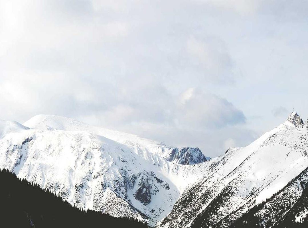 Step-by-Step Guide: How to Download and Install the Game