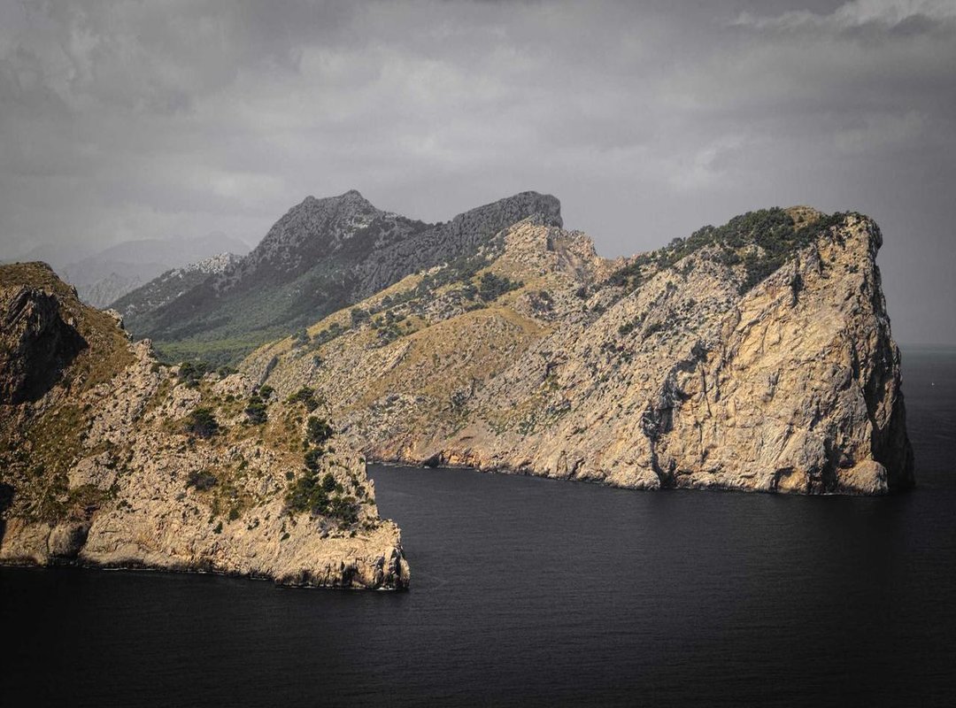 Connecting with Giselle Bigo on Twitter: A Summary