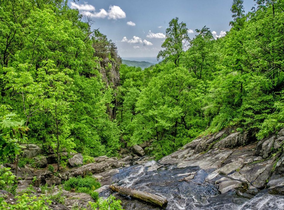 How the Game is Played: Rules, Nominations, and Evictions