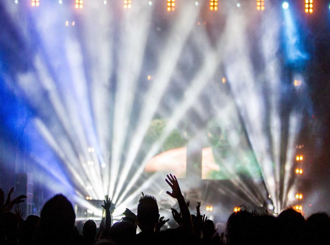 Worth the Investment: Premium & Custom Wallpaper Options