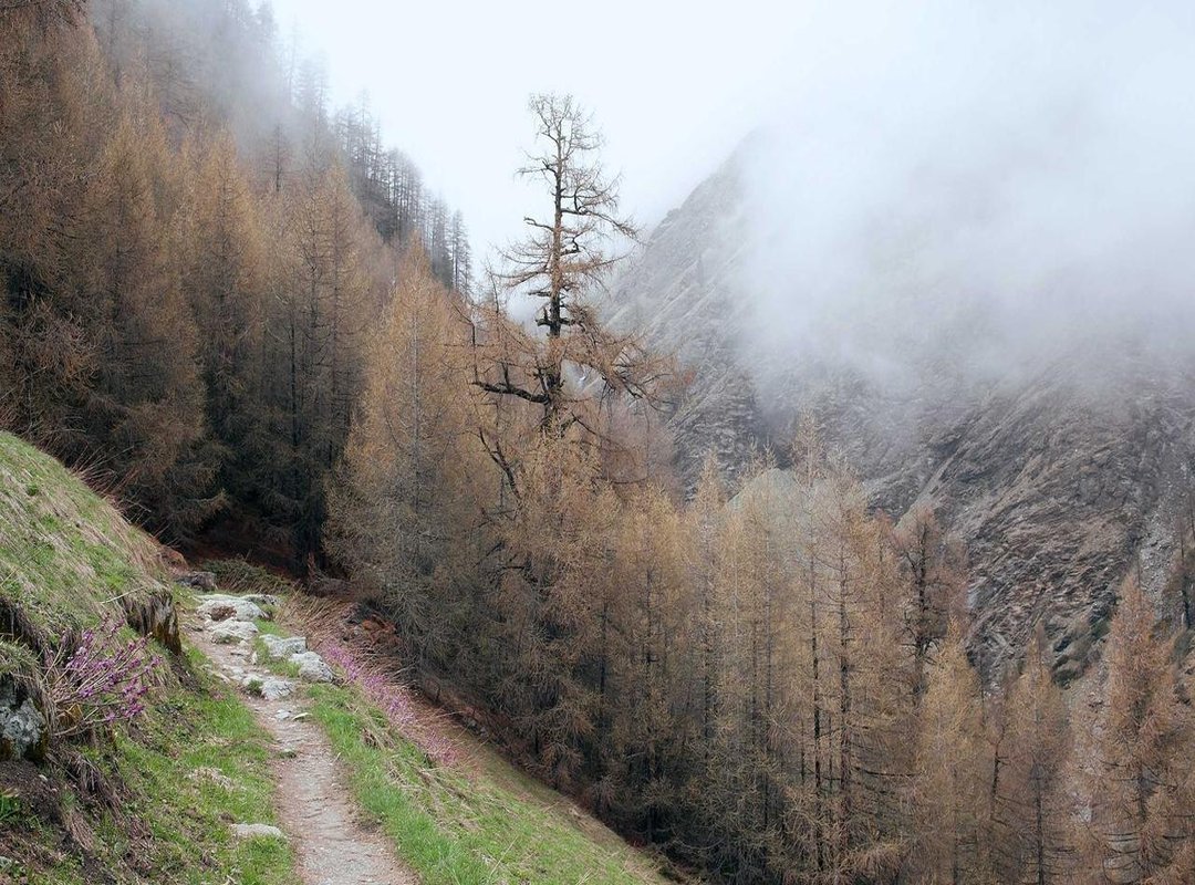 Beyond Digital: Where to Buy the Best Physical Flork Meme Stickers