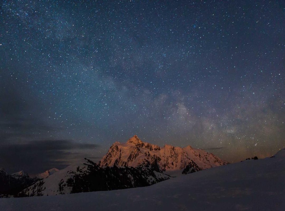 Welcoming Malia and Sasha: The Reality of Her Pregnancies