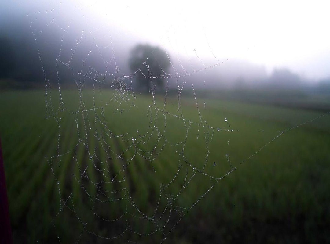 Step-by-Step: Assembling and Baking Your Masterpiece