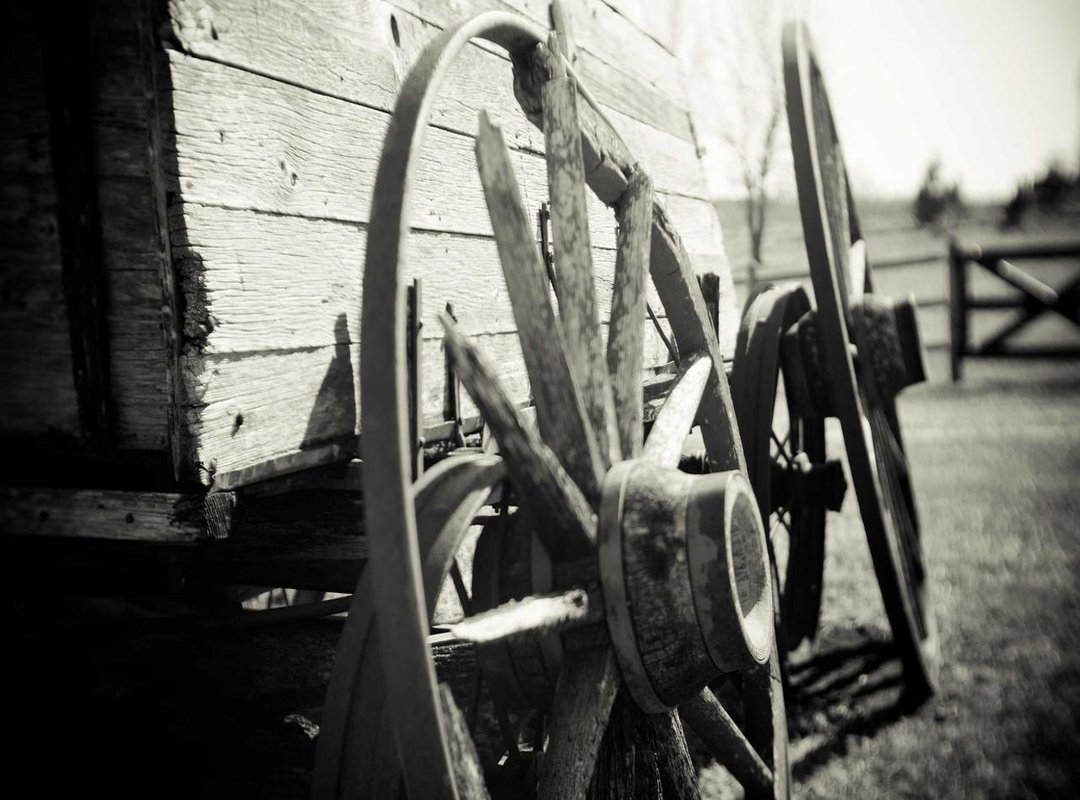 On Gratitude and Family: Quotes Celebrating Life's Blessings