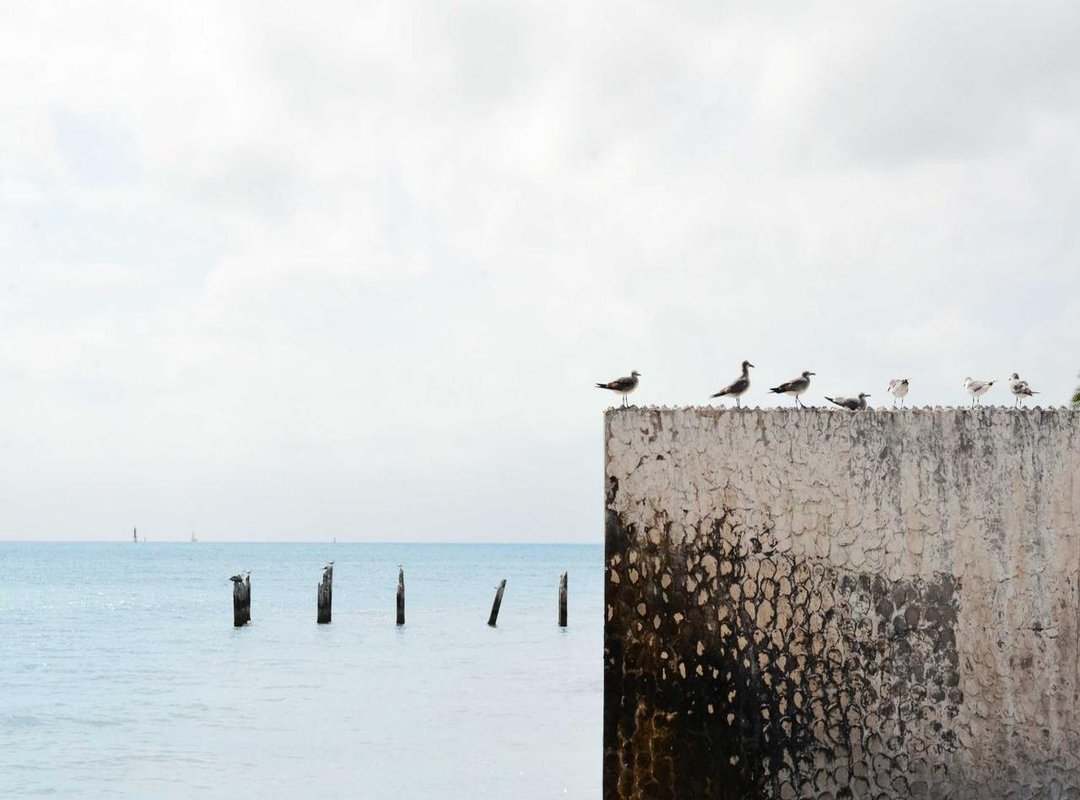 Identifying a Skinwalker: Signs from Folklore