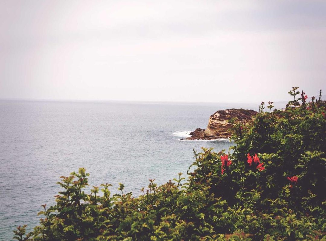 From Puzzle Grid to Reality: What Is a Hair Rinse, Anyway?