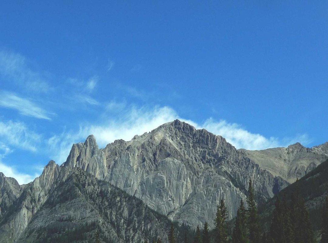 The Final Verdict: Is It a Worthwhile Investment?