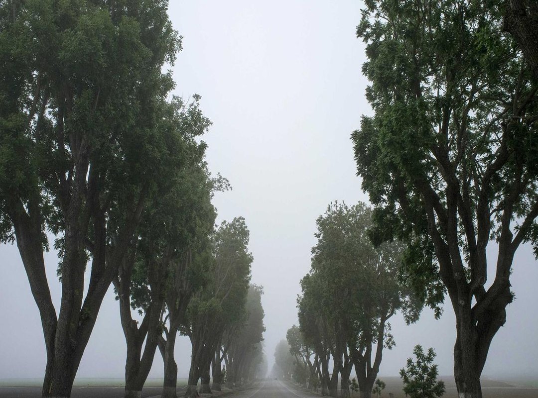 Function Meets Form: Matching Paint to Your Boat's Purpose